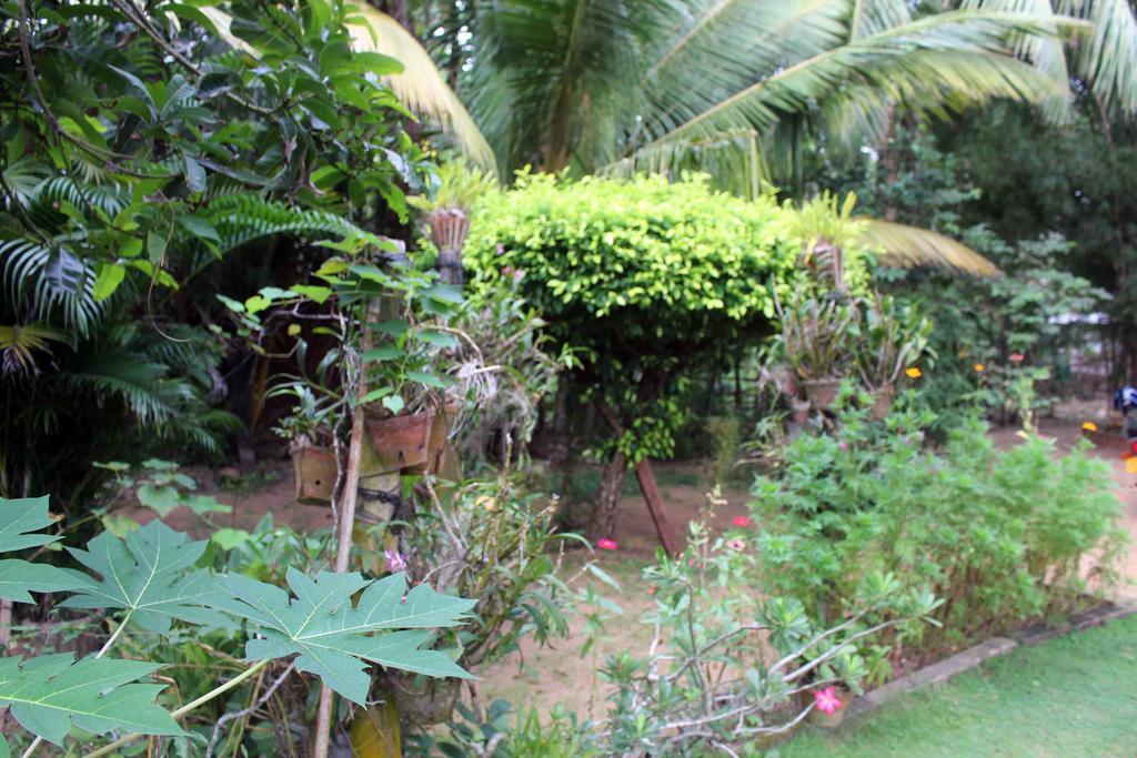 Anura Home Stay Kalutara Exteriér fotografie
