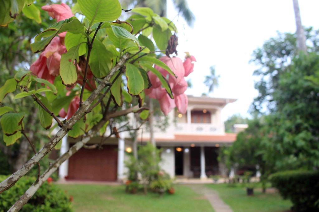 Anura Home Stay Kalutara Exteriér fotografie